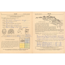 Cahier de vacances avec concours, cours moyen 1ère année-classe de 8e-9 à 10 ans N°4, Loulou et Babette au village
