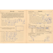Cahier de vacances avec concours, cours moyen 1ère année-classe de 8e-9 à 10 ans N°4, Loulou et Babette au village
