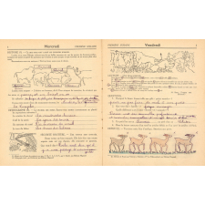 Cahier de vacances avec concours, cours moyen 2e année-classe de 7e-10 à 11 ans, 5, Loulou et Babette dans la jungle