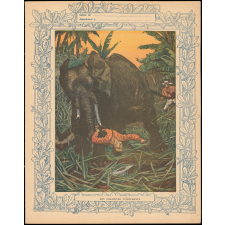 Les chasseurs d'éléphants