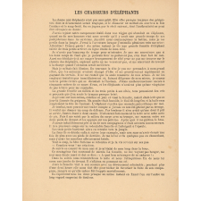 Les chasseurs d'éléphants