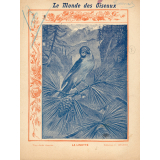 Le monde des oiseaux : La linotte