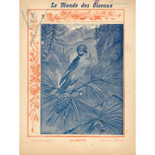 Le monde des oiseaux : La linotte