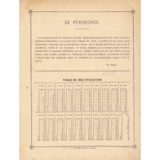 Le monde des oiseaux : Le rossignol