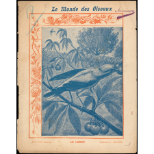 Le monde des oiseaux : Le loriot
