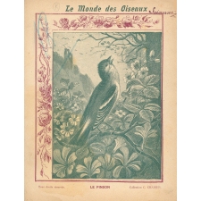 Le monde des oiseaux : Le pinson