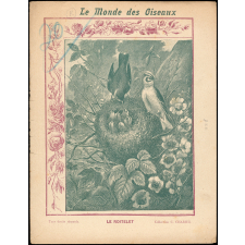 Le monde des oiseaux : Le roitelet