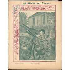 Le monde des oiseaux : La fauvette