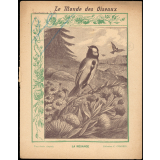 Le monde des oiseaux : La mésange