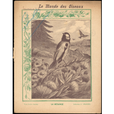 Le monde des oiseaux : La mésange