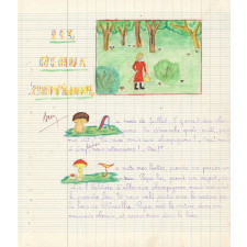 Cahier de rédactions