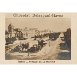 Image à collectionner : Tunis