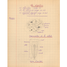 Cahier de sciences
