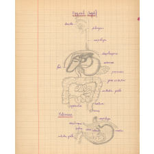 Cahier de sciences