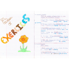 Cahier d'exercices de français