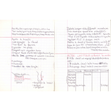 Cahier de théorie