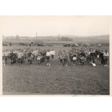 Luzancy : Fête sportive