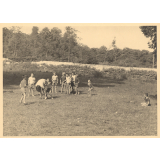 Luzancy : Saute-mouton