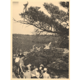 Colonie de Luzancy : Excursion en forêt