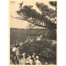 Colonie de Luzancy : Excursion en forêt