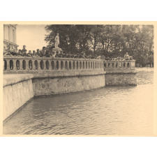Colonie de Luzancy à Fontainebleau : Etang aux carpes