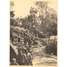 Colonie de Luzancy : Forêt de Fontainebleau