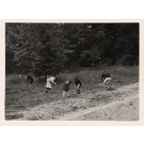 Luzancy : Enfants jardinant