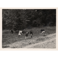 Luzancy : Enfants jardinant