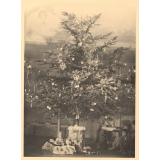 Le sapin de Noël à Luzancy