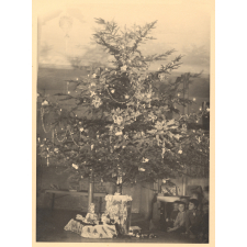 Le sapin de Noël à Luzancy