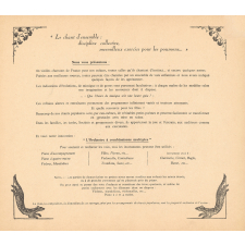 Jardin d'enfants : Vieilles chansons de France