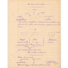 Cahier de devoirs