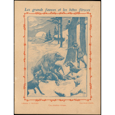 L'ours : Les grands fauves et les bêtes féroces