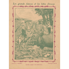 Le rhinocéros : Les grands fauves et les bêtes féroces