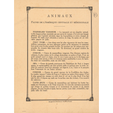 Unico : Animaux N°18