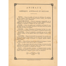 Unico : Animaux N°21