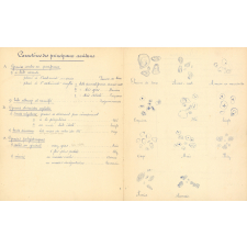 Travaux pratiques de micrographie