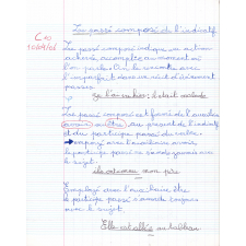 Cahier de leçons français, Cahier de leçons mathématiques