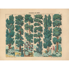 Décor de théâtre : Coulisses de forêt