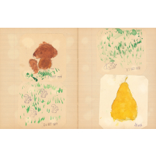 Cahier de dessins