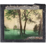 Paysage : Jardin