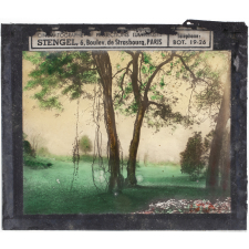 Paysage : Jardin