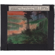 Paysage : Jungle