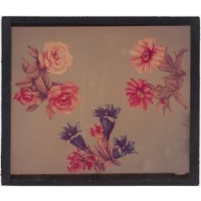 Fleurs