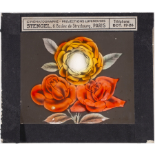Roses et pivoine