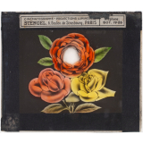 Roses et pivoine