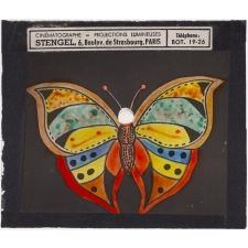 Papillon
