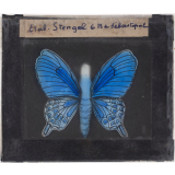Papillon : Machaon bleu