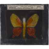 Papillon : Machaon orange