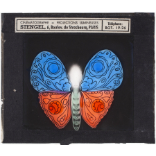 Papillon : Bleu et rose